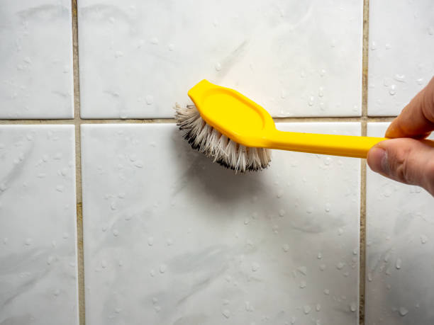 Best Commercial Mold Removal  in Cnelius, OR