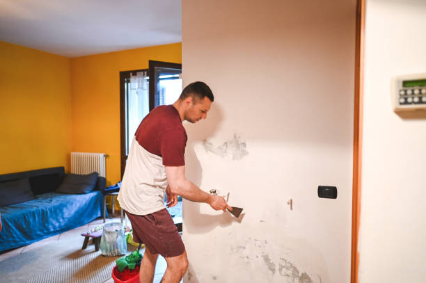 Best Mold Cleaning Services  in Cnelius, OR